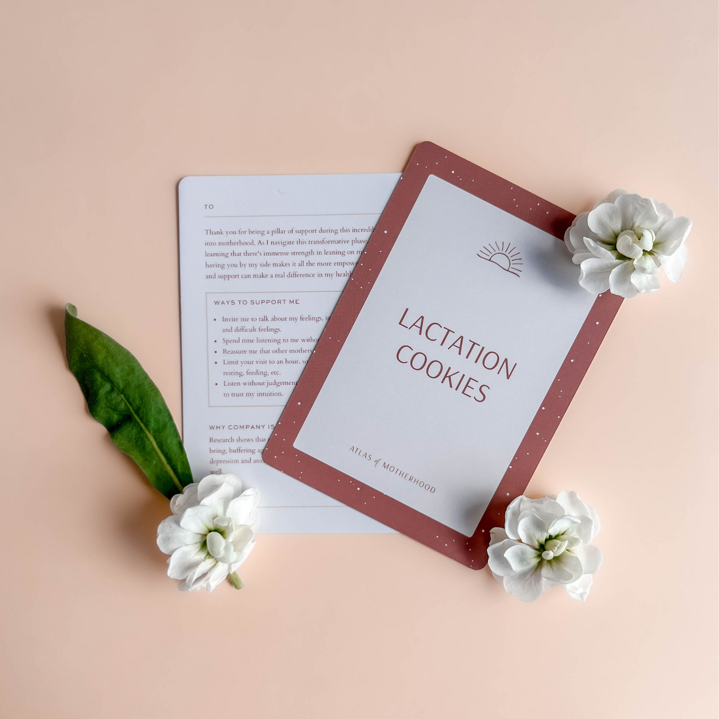 New Mom Postpartum Support Cards – 50-Card Deck for Practical Postpartum Support | Baby Shower and New Mom Gift