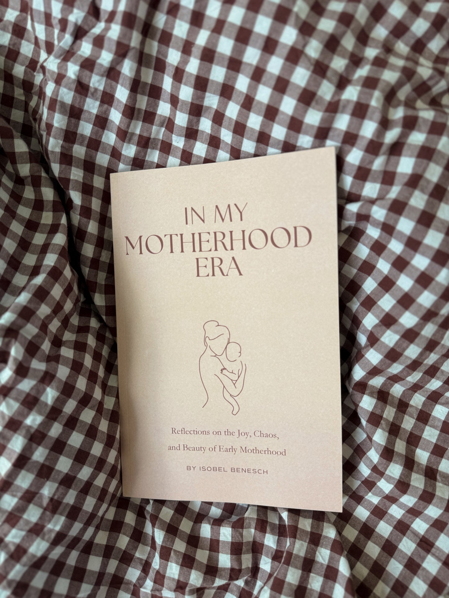 In My Motherhood Era Poetry Book: Reflections on the Joy, Chaos, and Beauty of Early Motherhood