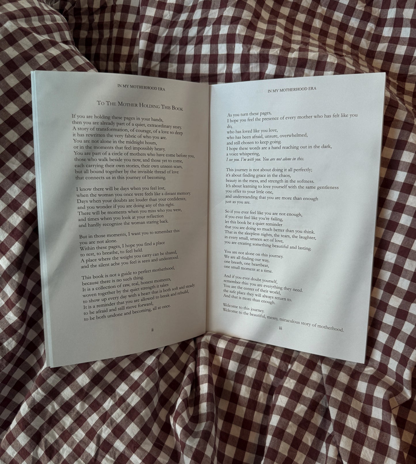 In My Motherhood Era Poetry Book: Reflections on the Joy, Chaos, and Beauty of Early Motherhood