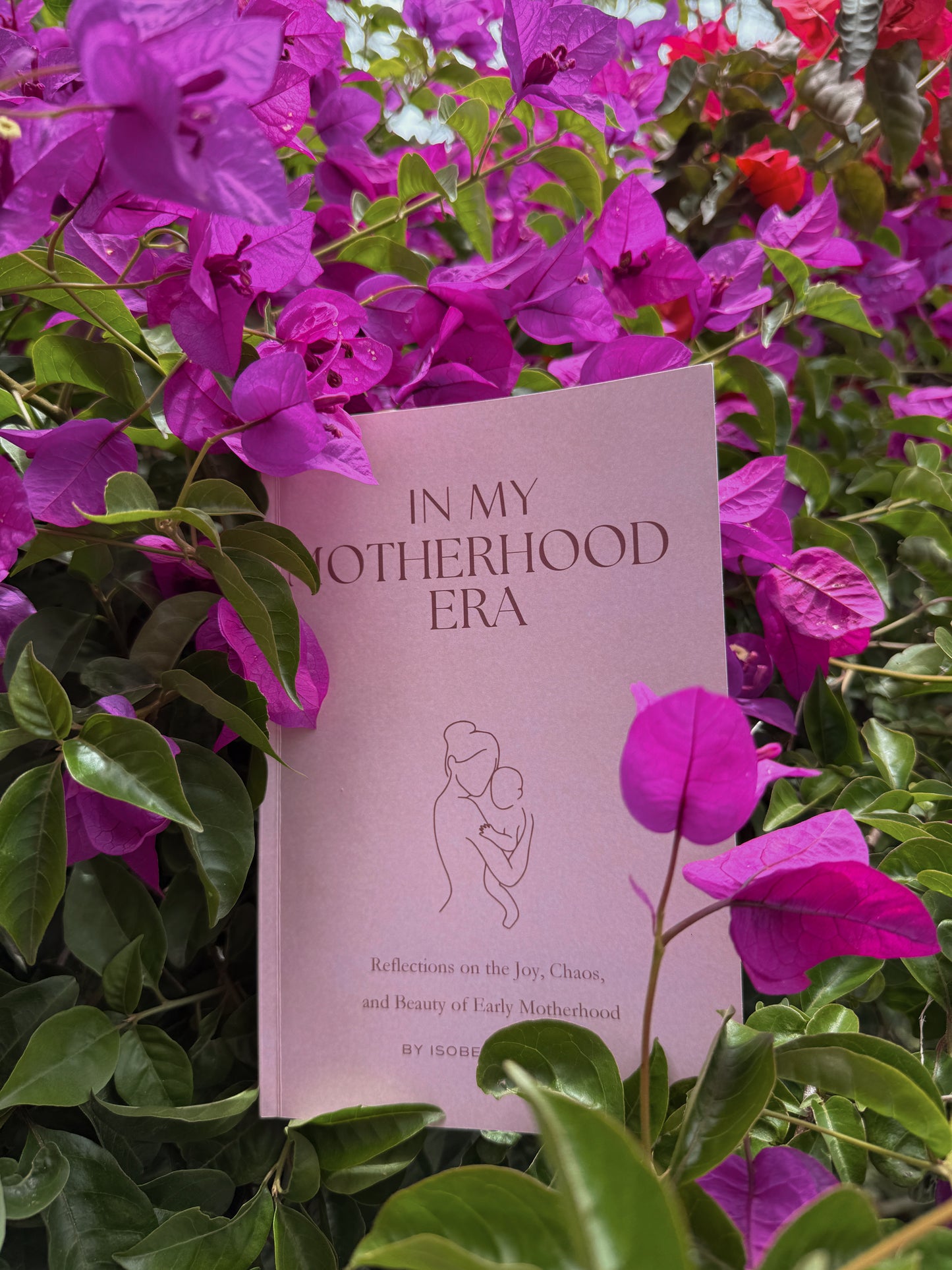 In My Motherhood Era Poetry Book: Reflections on the Joy, Chaos, and Beauty of Early Motherhood